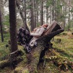Karin Hedenborg bio photo